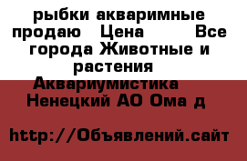 рыбки акваримные продаю › Цена ­ 30 - Все города Животные и растения » Аквариумистика   . Ненецкий АО,Ома д.